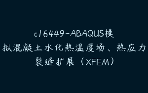 c16449-ABAQUS模拟混凝土水化热温度场、热应力裂缝扩展（XFEM）