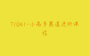 T1041-小高多赛道进阶课程