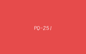 P0-251