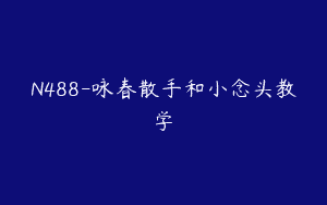 N488-咏春散手和小念头教学