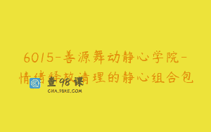 6015-善源舞动静心学院-情绪释放清理的静心组合包