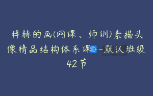 梓赫的画(网课、师训)素描头像精品结构体系课--默认班级42节