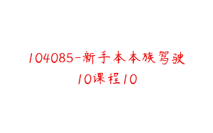 104085-新手本本族驾驶10课程10