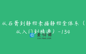 从石膏到静物素描静物全体系（从入门到精通）-134