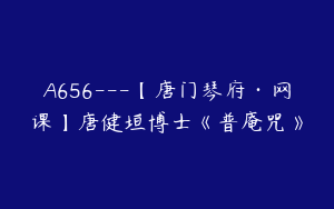 A656---【唐门琴府·网课】唐健垣博士《普庵咒》