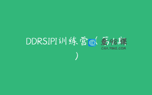 DDRSIPI训练营（第1期）