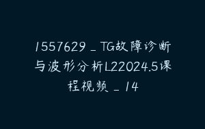 1557629_TG故障诊断与波形分析L22024.5课程视频_14