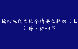 揭秘陈氏太极拳精要之静动（上）静·桩-3节