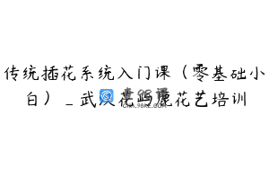 传统插花系统入门课（零基础小白）_武汉花屿鹿花艺培训