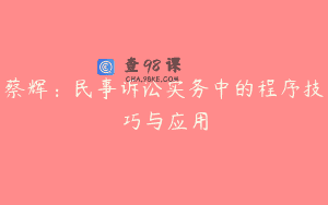 蔡辉：民事诉讼实务中的程序技巧与应用