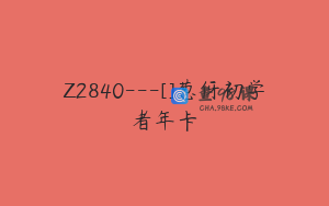 Z2840---[]葱伢初学者年卡