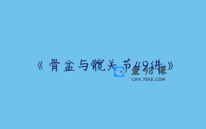 《骨盆与髋关节49讲》