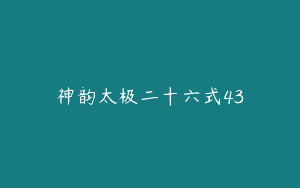 神韵太极二十六式43
