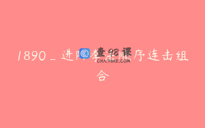 1890_进阶拳法顺序连击组合