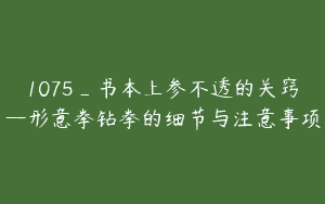 1075_书本上参不透的关窍—形意拳钻拳的细节与注意事项