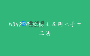 N342-西北棍王五阴七手十三法