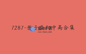 7287-张子盛初中高合集