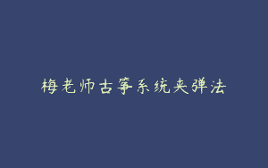 梅老师古筝系统夹弹法