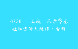 A728---王巍_风景零基础和进阶系统课·合辑