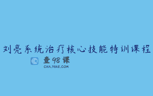刘亮系统治疗核心技能特训课程