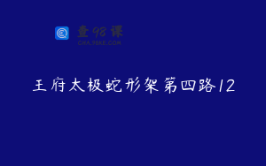王府太极蛇形架第四路12