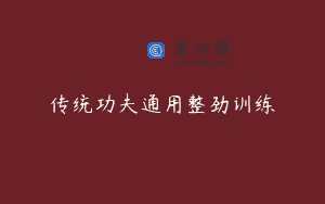 传统功夫通用整劲训练