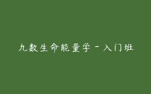 九数生命能量学－入门班