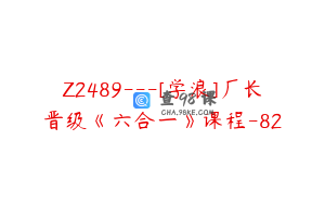 Z2489---[学浪]厂长晋级《六合一》课程-82