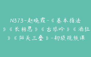 N373-赵晓霞-《基本指法》《长相思》《古琴吟》《酒狂》《阳关三叠》-初级视频课