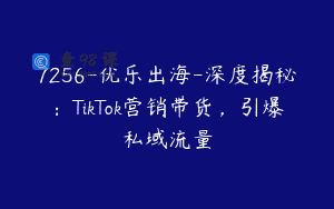 7256-优乐出海-深度揭秘：TikTok营销带货，引爆私域流量