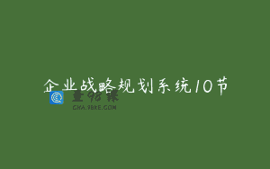 企业战略规划系统10节