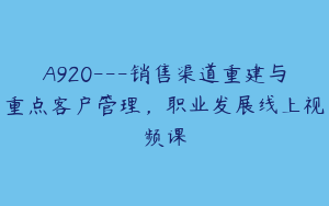 A920---销售渠道重建与重点客户管理，职业发展线上视频课