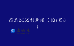 婚恋BOSS创业圈（拍1发8）