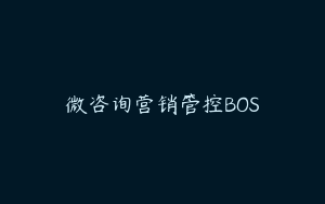 微咨询营销管控BOS