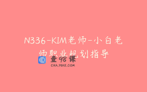 N336-KIM老师-小白老师职业规划指导