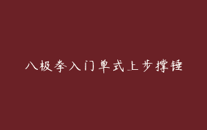 八极拳入门单式上步撑锤