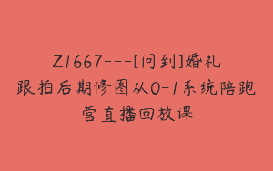Z1667—[问到]婚礼跟拍后期修图从0-1系统陪跑营直播回放课