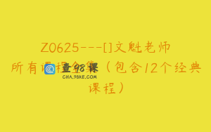 Z0625---[]文魁老师所有课程全集（包含12个经典课程）