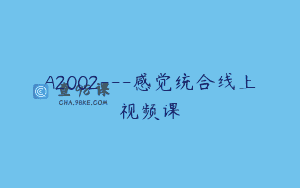A2002—感觉统合线上视频课