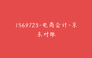 1569723-电商会计-京东对账