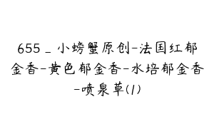 655_小螃蟹原创-法国红郁金香-黄色郁金香-水培郁金香-喷泉草(1)