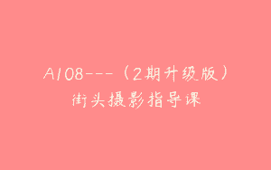 A108—（2期升级版）街头摄影指导课