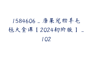 1584606_唐果宠物羊毛毡大全课【2024初阶版】_102