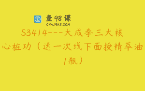 S3414—大成拳三大核心桩功（送一次线下面授精萃油1瓶）