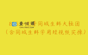 8053-龙哥同城生鲜大轻团（含同城生鲜学用短视频实操）