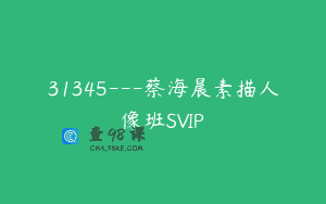 31345—蔡海晨素描人像班SVIP