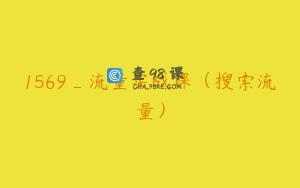 1569_流量实战课（搜索流量）