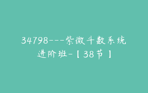 34798---紫微斗数系统进阶班-【38节】