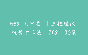 N59-刘甲星-十三把短棍-棍势十三法_289_30集