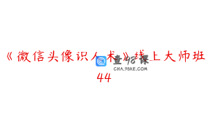 《微信头像识人术》线上大师班44